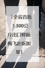 全省首批！300公斤出口鲜杨梅飞赴新加坡